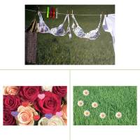 Magnettafeln verschiedene Design und Magneten, Abm: 331 x 535 x 20 cm, aus Blech Magnettafeln verschiedene Design und Magneten, Abm: 331 x 535 x 20 cm, aus Blech